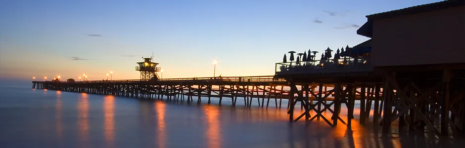A vibrant city skyline illuminated at night, with the ocean shimmering in the background.